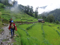 trekking route trekking in Nepal