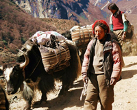 Tibet Tibet